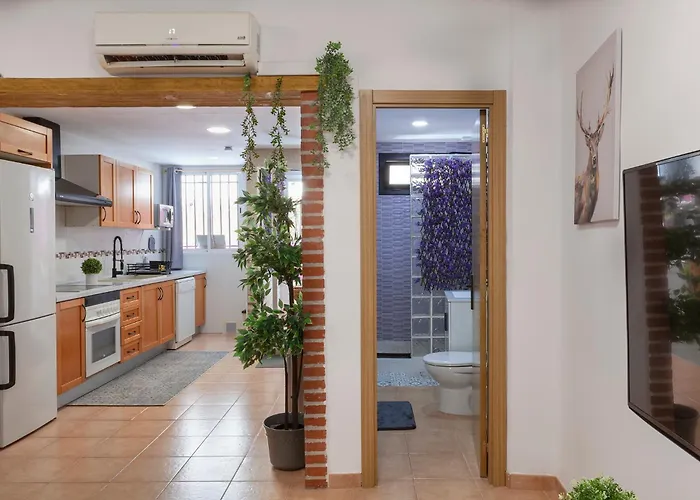 Luxury Artistic Digital Nomad 2 Bedroom W/Terrace